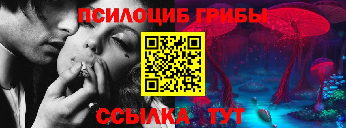 Псилоцибиновые грибы GOLDEN TEACHER  Псилоцибиновые грибы Psilocybine cubensis  Вход с VPN  Петропавловск-Камчатский 