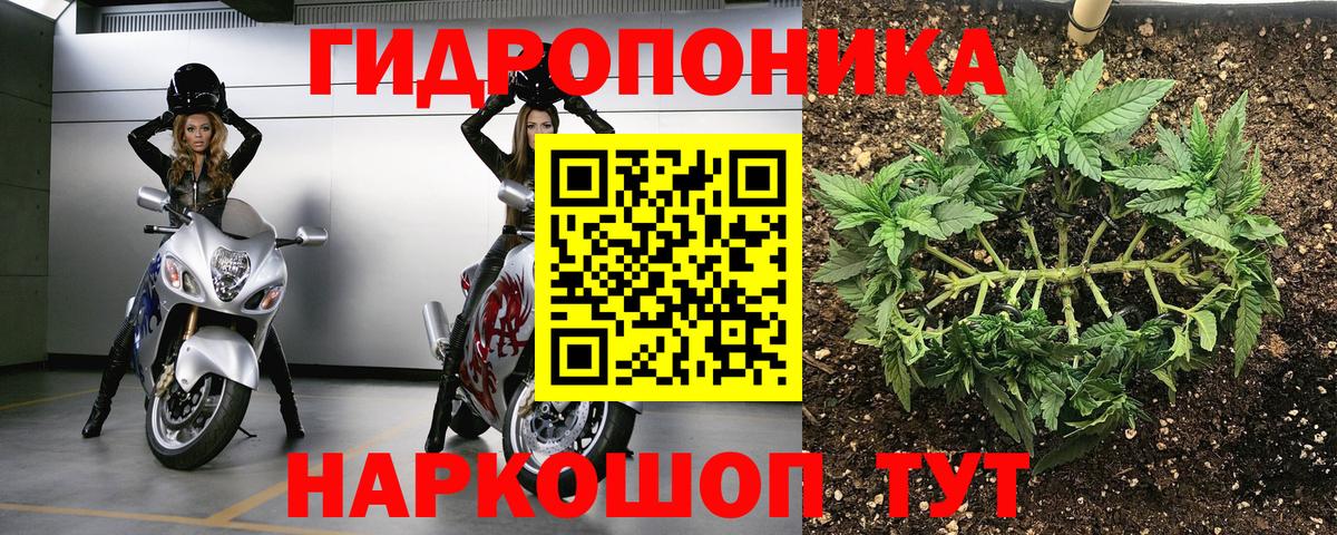 Бошки марихуана AK-47  Вход с VPN  Петропавловск-Камчатский  Каннабис OG Kush  МАРИХУАНА SATIVA & INDICA 
